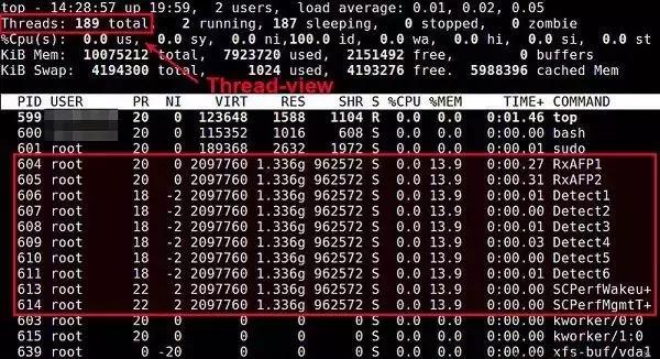 在Linux系统中有哪些命令可以用于查看进程？