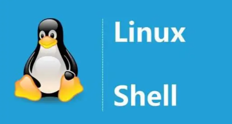 Shell 中读取文件