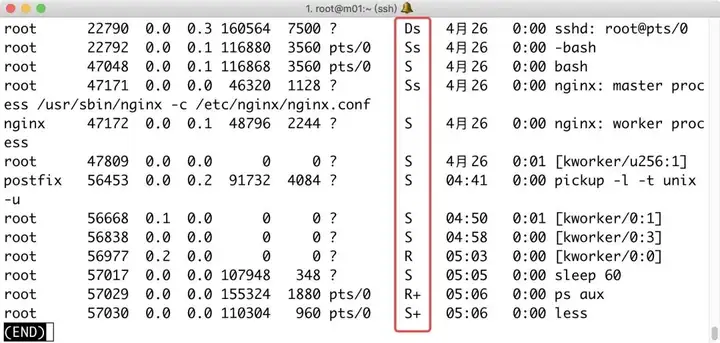 全面掌控Linux进程与安全：从基础管理到高级防护技巧插图2