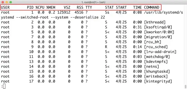 全面掌控Linux进程与安全：从基础管理到高级防护技巧插图1